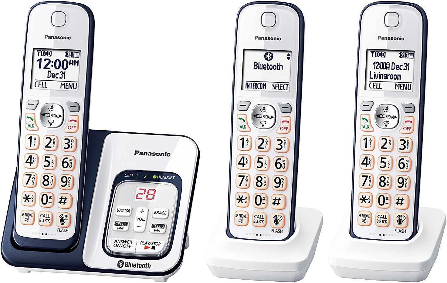 Panasonic Cell Phone 2024